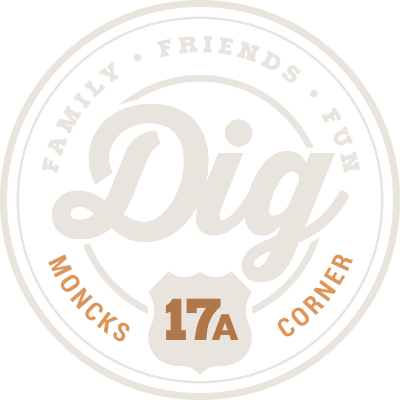 DIG 17A - Homepage